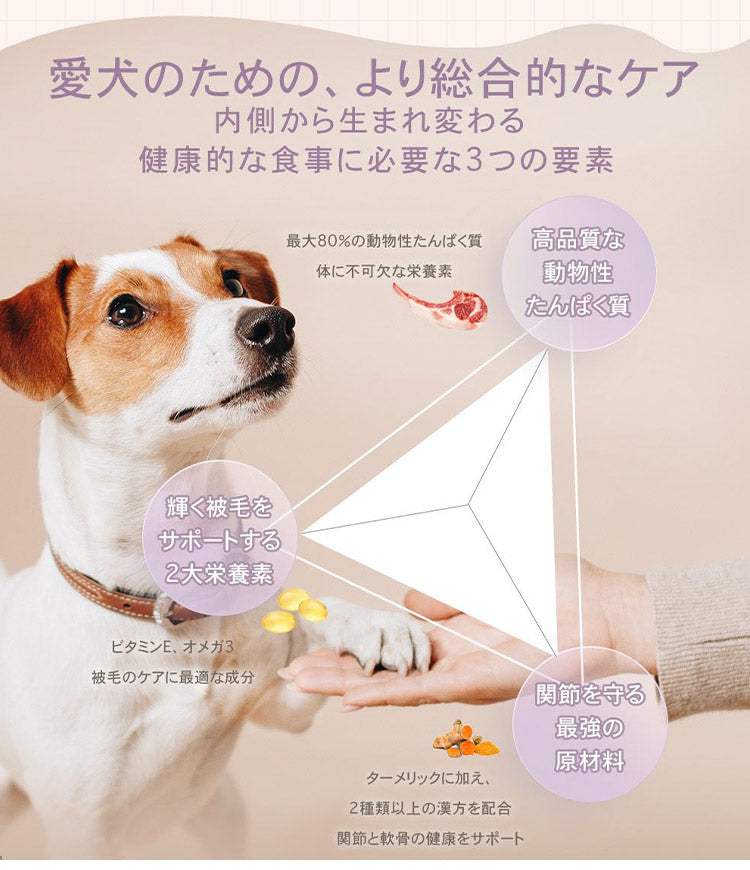 CHARM チャーム ラム&サーモンドッグ 340g 犬用 いぬ用 ドッグフード ペットフード