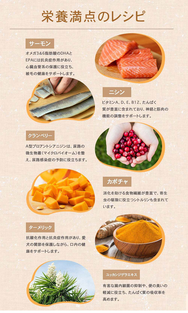 CHARM チャーム ラム&サーモンドッグ 1kg 犬用 いぬ用 ドッグフード ペットフード