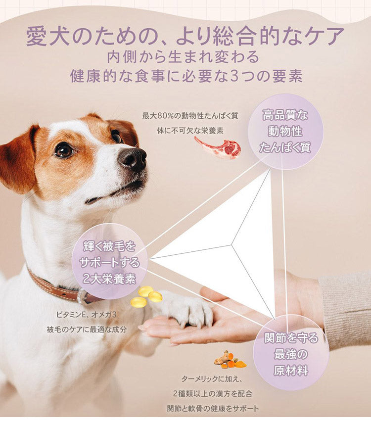 CHARM チャーム ラム&サーモンドッグ 1kg 犬用 いぬ用 ドッグフード ペットフード