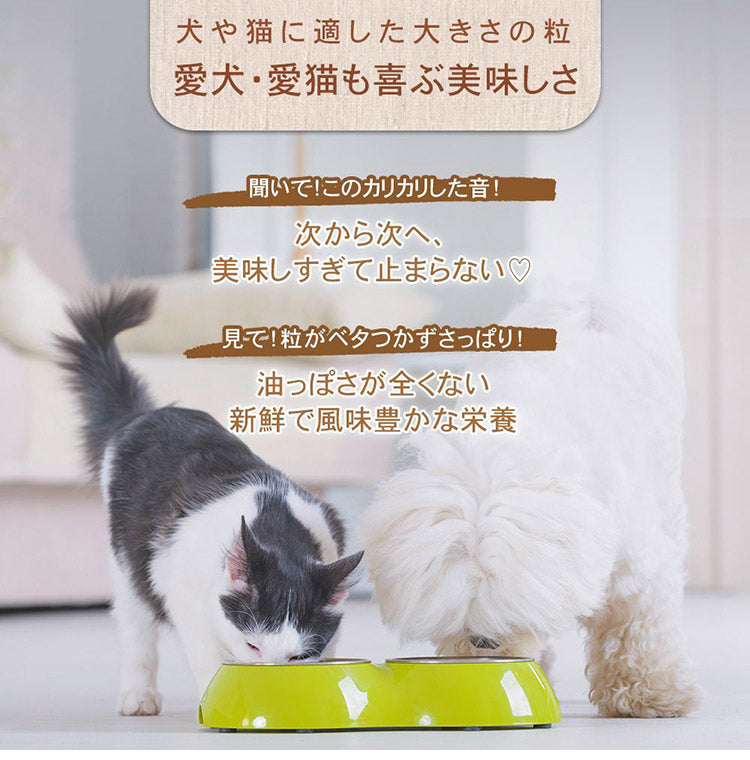 CHARM チャーム ラム&サーモンドッグ 5.4kg 犬用 いぬ用 ドッグフード ペットフード