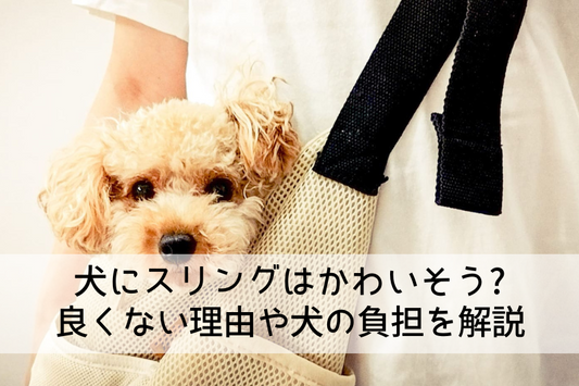犬にスリングはかわいそう? 良くない理由や犬の負担を解説