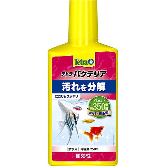 (まとめ）テトラ バクテリア 250ml（ペット用品）【×6セット】 (代引不可)