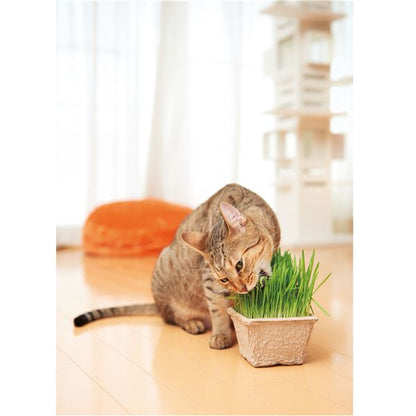 （まとめ） GREEN Labo Dog ＆ Cat grass soil 犬と猫が好きな草の栽培用土 3L （ペット用品・猫用フード） 【×12セット】 (代引不可)