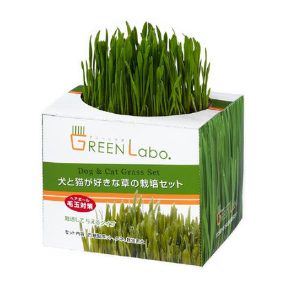 （まとめ） GREEN Labo Dog ＆ Cat grassSet 犬と猫が好きな草 栽培セット （ペット用品・猫用フード） 【×12セット】 (代引不可)