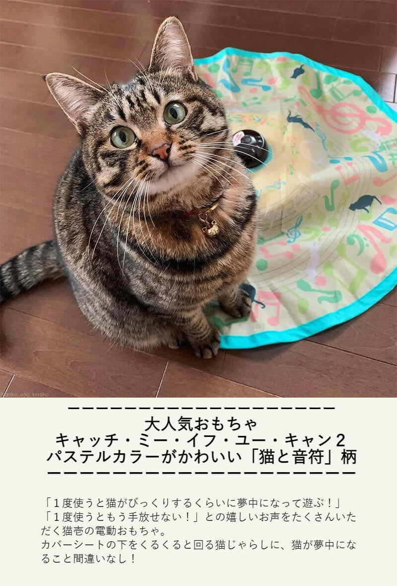 猫壱 キャッチ・ミー・イフ・ユー・キャン2 猫と音符 おもちゃ 猫用 ねこ 電動 多機能 玩具 猫用玩具 運動不足 ストレス 解消