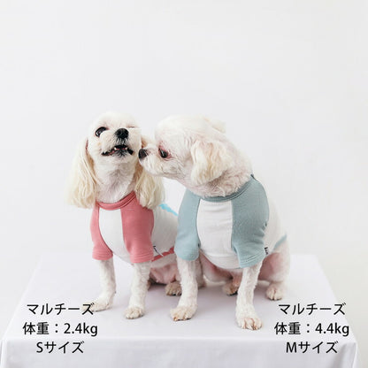 犬 服 犬の服 ドッグウェア Tシャツ アルファベットラグランTシャツ / S,M,L,XL,XXL 秋 冬 おしゃれ コットン 綿100% プリント(代引不可)【メール便（ゆうパケット）】