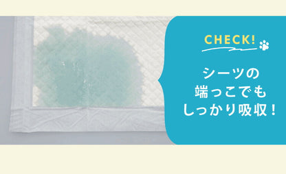 ペットシーツ 厚型 レギュラー 400枚 ワイド 200枚 スーパーワイド 100枚 ホワイト 白 大容量 超吸収 抗菌 消臭 トイレシート トイレシーツ ペットシート 使い捨て 愛玩動物介護士監修 犬用 業務用 犬 まとめ買い 猫