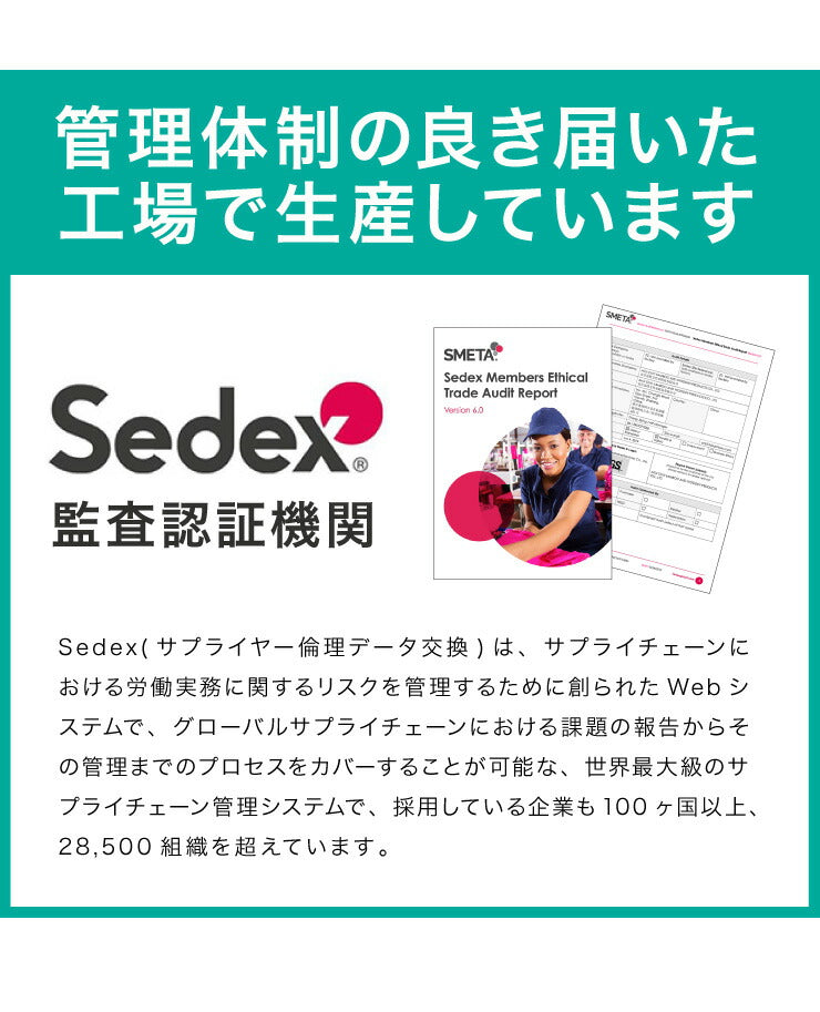 ペットスロープ ドッグステップ 幅35cm リクライニング 14段 2ヶ所 高さ調節可能 角度調節 介護 犬用スロープ ペットステップ ペット用 ステップ ペット スロープ 犬 韓国 猫 プレゼント 韓国インテリア