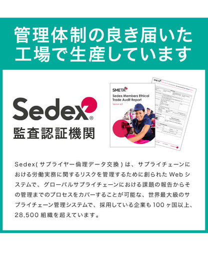 ペットスロープ ドッグステップ 幅35cm リクライニング 14段 2ヶ所 高さ調節可能 角度調節 介護 犬用スロープ ペットステップ ペット用 ステップ ペット スロープ 犬 韓国 猫 プレゼント 韓国インテリア