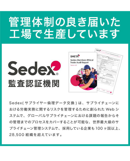 ペットスロープ 幅60cm 14段階高さ調節可能 介護 ドッグステップ 犬用スロープ ペット用 ステップ ペット スロープ 犬 猫