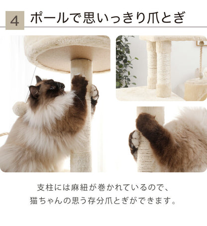 キャットタワー おしゃれ 富士山型ハウス 据え置き 171cm 爪とぎ ハンモック ハウス かわいい 多頭飼い 運動不足 ストレス解消 猫用品 ペット用品 キャットハウス 猫タワー 省スペース