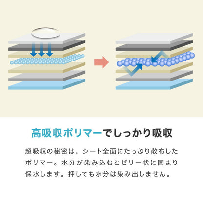 ペットシーツ 炭入り 超厚型 レギュラー 200枚 ワイド 100枚 スーパーワイド 50枚 大容量 超吸収 抗菌 消臭 脱臭 トイレシート トイレシーツ ペットシート 使い捨て 業務用 犬 猫 まとめ買い 犬用