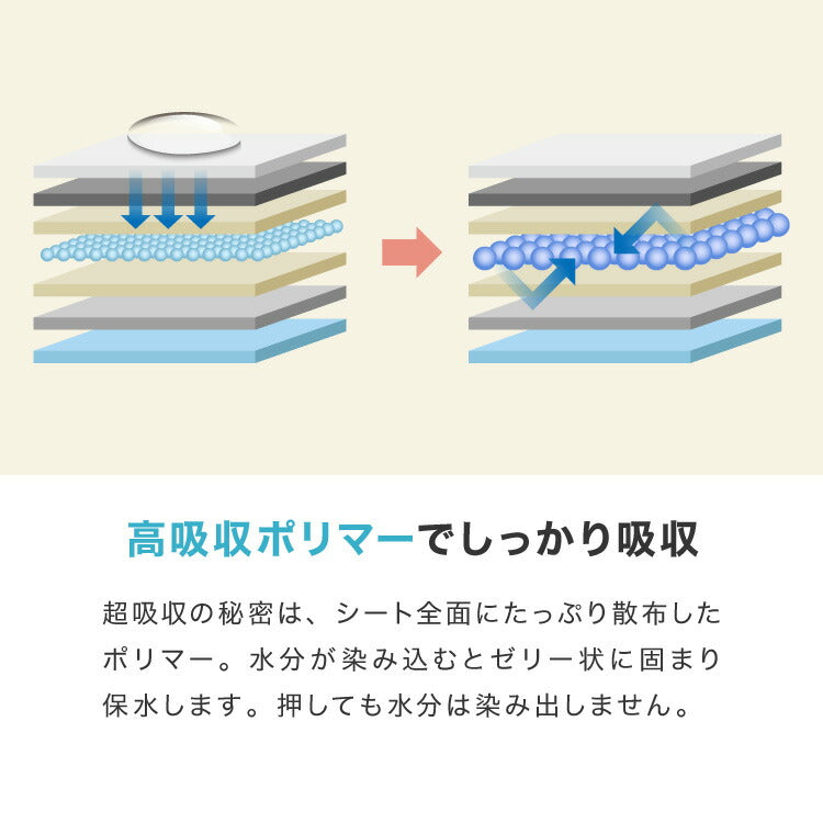 ペットシーツ 炭入り 薄型 レギュラー 800枚 ワイド 400枚 スーパーワイド 200枚 大容量 超吸収 抗菌 消臭 脱臭 トイレシート トイレシーツ ペットシート 使い捨て 業務用 犬 猫 まとめ買い 犬用 得用