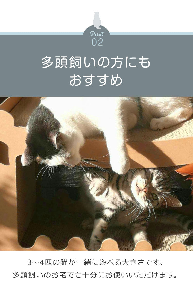 キャットハウス 爪とぎ付き ダンボール 簡単組み立て 小窓付き お手入れ簡単 遊び道具 ストレス解消 オールシーズン 爪とぎボード ペットハウス 猫用つめとぎ 爪とぎハウス つめとぎ ペットベッド ペット用品 爪とぎ付きハウス 猫ハウス