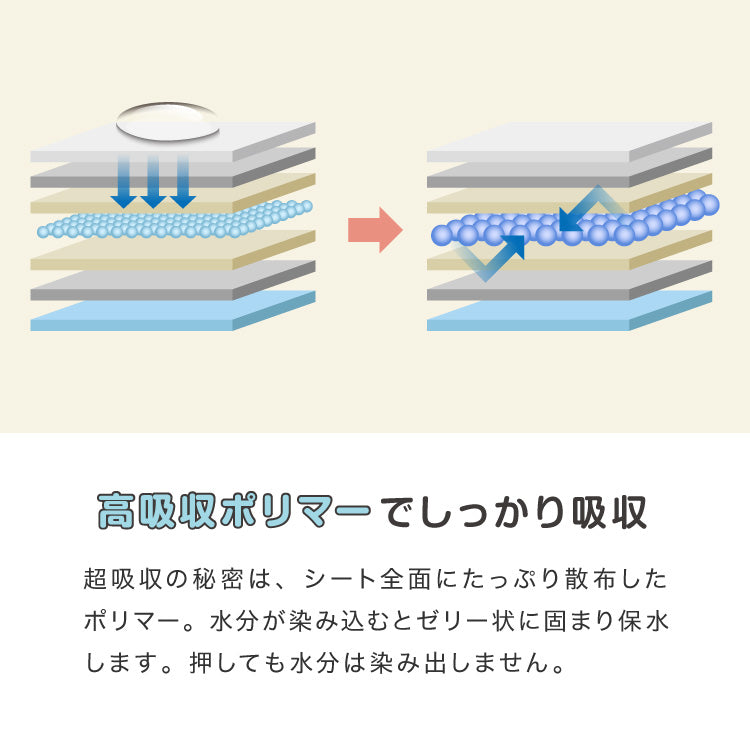 ペットシーツ 薄型 レギュラー 800枚 ワイド 400枚 スーパーワイド 200枚 ウルトラワイド 100枚 ホワイト 白 大容量 超吸収 抗菌 消臭 トイレシート トイレシーツ ペットシート 愛玩動物介護士監修 犬