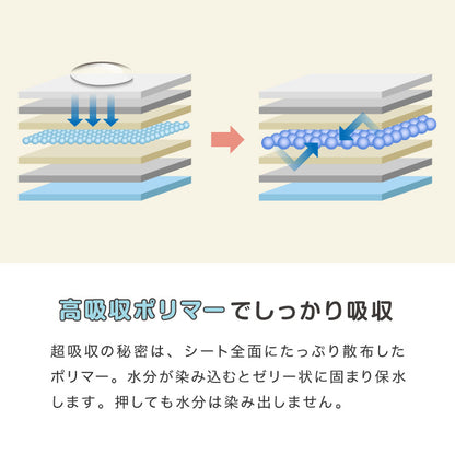 ペットシーツ 薄型 レギュラー 800枚 ワイド 400枚 スーパーワイド 200枚 ウルトラワイド 100枚 ホワイト 白 大容量 超吸収 抗菌 消臭 トイレシート トイレシーツ ペットシート 愛玩動物介護士監修 犬