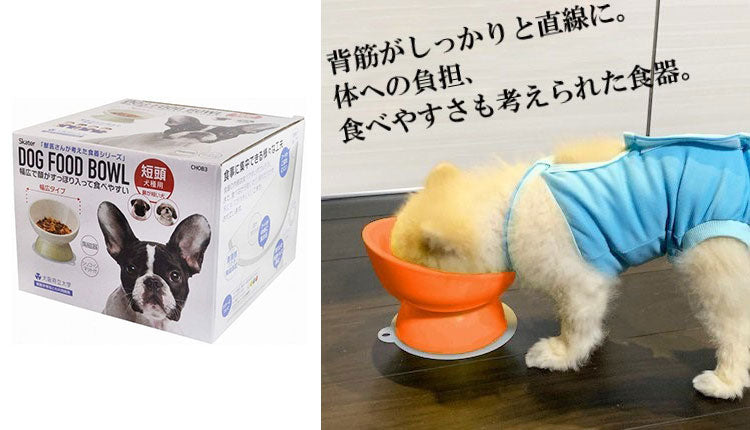 スケーター 短頭犬用 食器 陶磁器製 ペット餌入れ 幅広 マット付 オレンジ CHOB3 ペット 犬 猫 食器 餌 ごはん 餌箱 エサ入れ お皿 優しい 体 負担 軽減