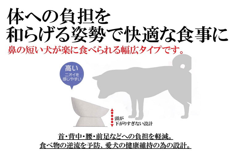 スケーター 小型犬用 食器 陶磁器製 ペット餌入れ マット付 ミント CHOB2 ペット 犬 猫 食器 餌 ごはん 餌箱 エサ入れ お皿 優しい 体 負担 軽減