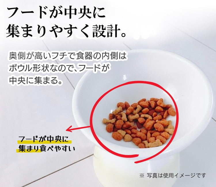 スケーター 小型犬用 食器 陶磁器製 ペット餌入れ マット付 ミント CHOB2 ペット 犬 猫 食器 餌 ごはん 餌箱 エサ入れ お皿 優しい 体 負担 軽減