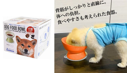 スケーター 小型犬用 食器 陶磁器製 ペット餌入れ マット付 ミント CHOB2 ペット 犬 猫 食器 餌 ごはん 餌箱 エサ入れ お皿 優しい 体 負担 軽減