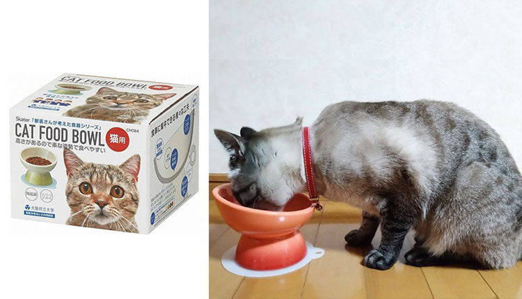 スケーター ネコ用 食器 陶磁器製 ペット餌入れ マット付 ミント CHOB4 ペット 犬 猫 食器 餌 ごはん 餌箱 エサ入れ お皿 優しい 体 負担 軽減