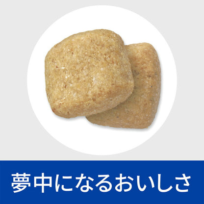 ヒルズ 療法食 犬 犬用 t/d小粒 チキン 1kg プリスクリプション 食事療法食 サイエンスダイエット