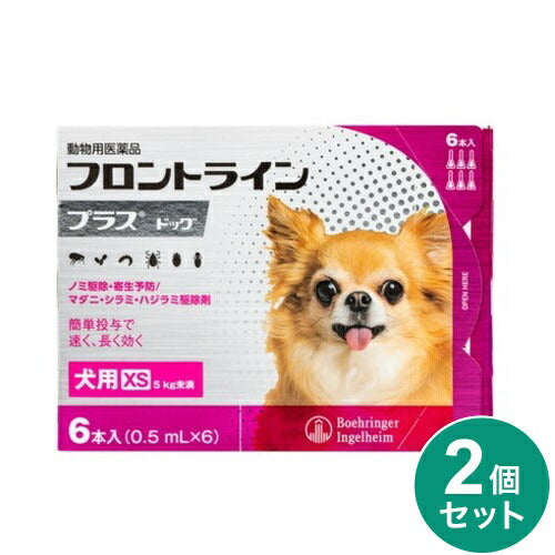 【動物用医薬品】 【2個セット】 フロントライン 犬用 XS 5kg未満 6本入 ノミ 蚤 ダニ ハジラミ 駆除剤 駆除液 動物用 ペット用 医薬品 超小型犬 小型犬 フロントラインプラスドッグ(代引不可)【メール便配送】