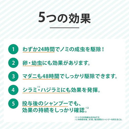【動物用医薬品】 【2個セット】 フロントライン 犬用 XS 5kg未満 6本入 ノミ 蚤 ダニ ハジラミ 駆除剤 駆除液 動物用 ペット用 医薬品 超小型犬 小型犬 フロントラインプラスドッグ(代引不可)【メール便配送】