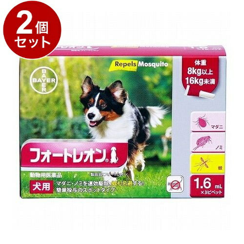 【動物用医薬品】 【2個セット】 エランコジャパン フォートレオン 犬用 8kg以上16kg未満 1.6ml×3