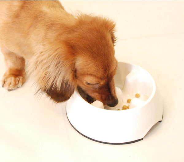 エイムクリエイツ ゆっくり食べれる食器 アイボリー M ペット 食事 ごはん