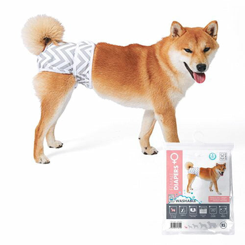 M-PETS エムペッツ 洗える 女の子用オムツ WASHABLE XS おむつ パンツ マナーパンツ めす メス ペット用おむつ 介護 老犬 しつけ