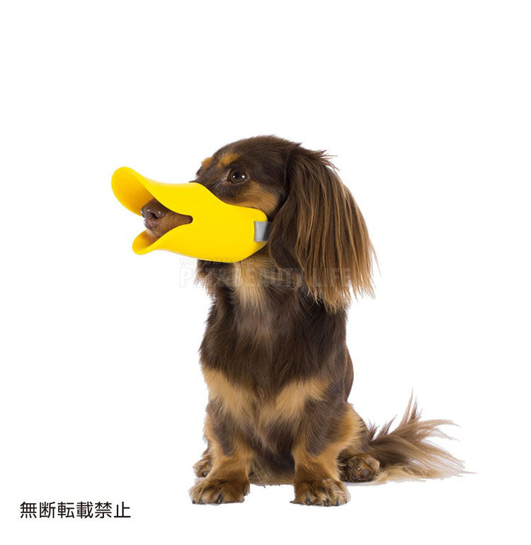 OPPO オッポ quack SM クァック 噛付き防止 噛みつき防止 拾い食い防止 シリコン 口輪 しつけ用 犬用 いぬ用