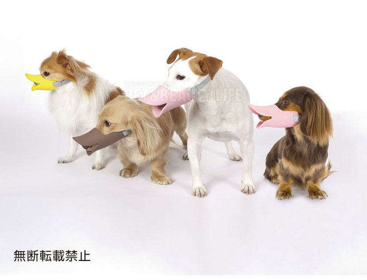 OPPO オッポ quack SM クァック 噛付き防止 噛みつき防止 拾い食い防止 シリコン 口輪 しつけ用 犬用 いぬ用