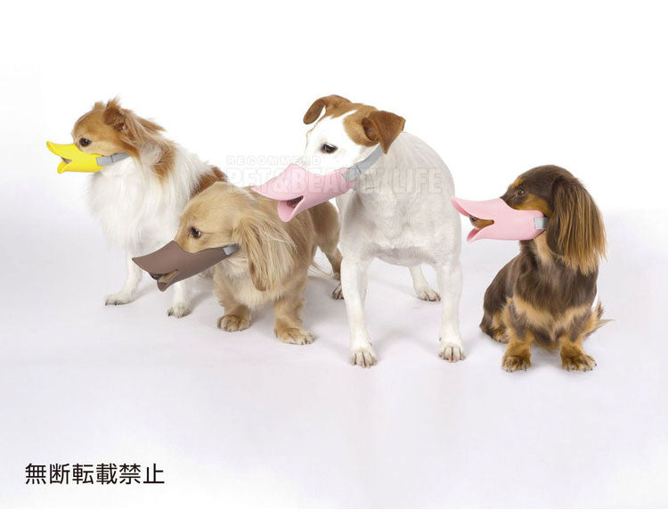 OPPO オッポ quack L クァック 噛付き防止 噛みつき防止 拾い食い防止 シリコン 口輪 しつけ用 犬用 いぬ用