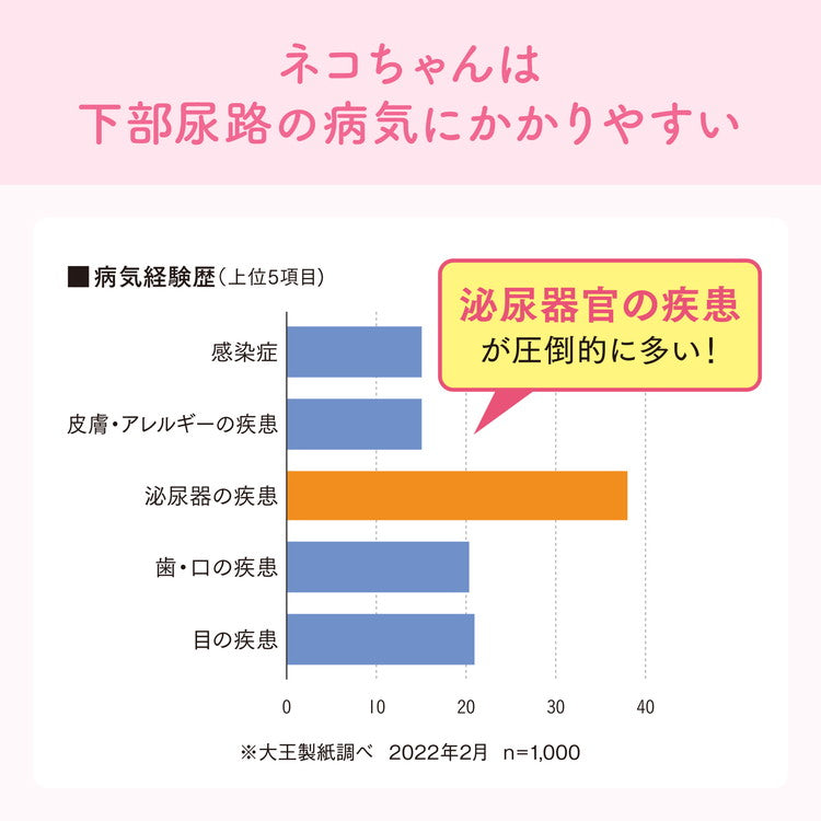 【2個セット】 エリエールペット キミおもい おしっこチェック 紙のネコ砂 5L 紙製 紙砂 固まる 猫砂 ねこ砂 猫トイレ ねこトイレ