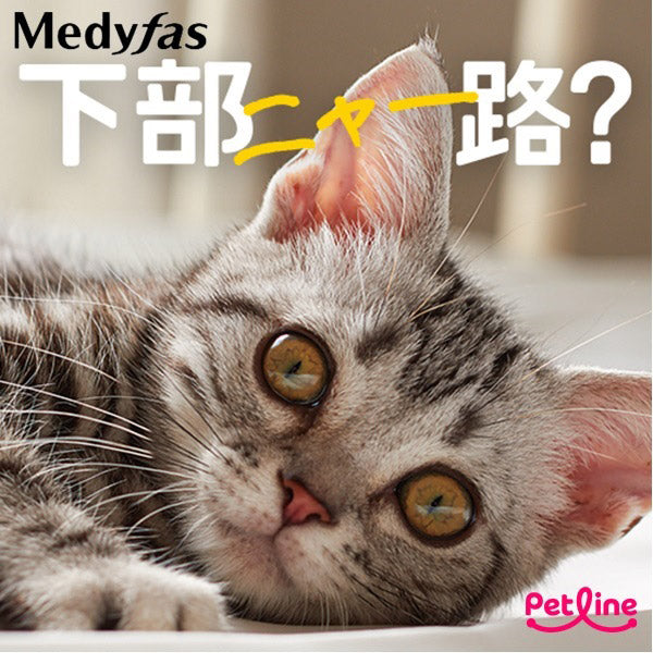 ペットライン Medyfas ADVANCE メディファスアドバンス 2種の尿石ケア 子ねこから10歳まで避妊去勢後のケア チキン&フィッシュ味 1.25kg(250g×5)