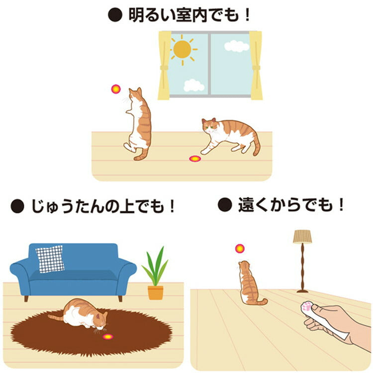 ドギーマン キャティーマン じゃれ猫 レーザーニャンだろ~?!光線