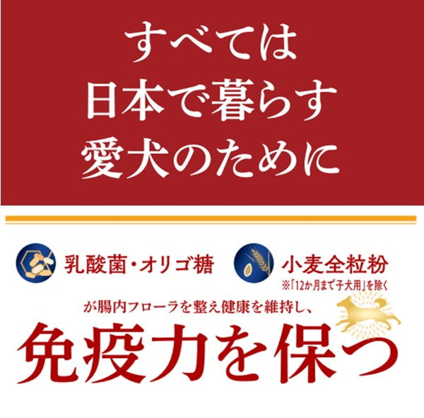 ペットライン JPスタイル和の究み 小粒 低脂肪 1歳から 3kg (500g×6)