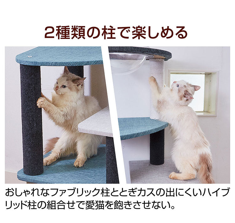 ペティオ ネココ キャットタワー クリアボウル&ハウス necoco キャットリビングタワー キャットツリー キャットハウス 猫タワー 猫ハウス クリアボール 透明 据え置き Petio