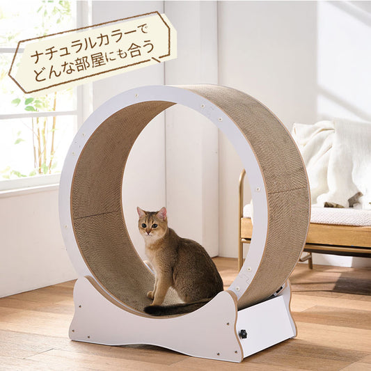 ボンビアルコン 猫用 キャットホイール ホワイト 7kgまで 小型 組み立て簡単 静音 静音設計 ロック付 ロックできる 爪とぎ 爪砥ぎ ダンボール キャットランナー ルームランナー