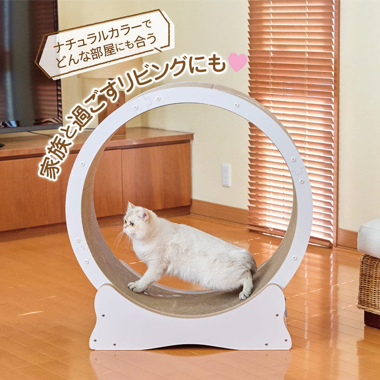 ボンビアルコン 猫用 キャットホイール ホワイト 7kgまで 小型 組み立て簡単 静音 静音設計 ロック付 ロックできる 爪とぎ 爪砥ぎ ダンボール キャットランナー ルームランナー