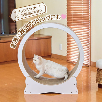 ボンビアルコン 猫用 キャットホイール ホワイト 7kgまで 小型 組み立て簡単 静音 静音設計 ロック付 ロックできる 爪とぎ 爪砥ぎ ダンボール キャットランナー ルームランナー