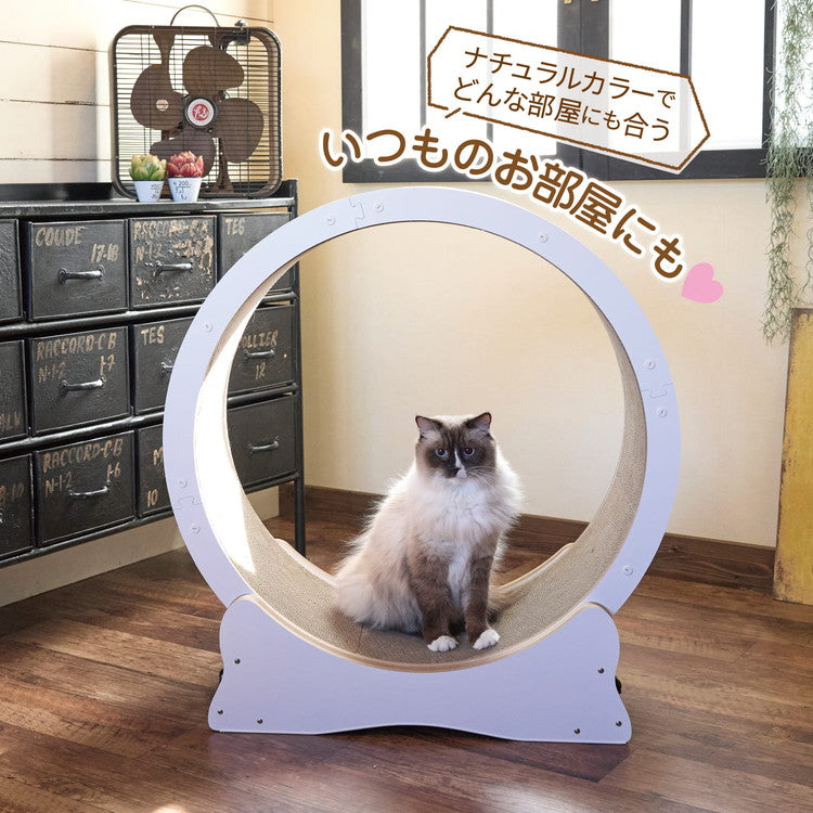 ボンビアルコン 猫用 キャットホイール ホワイト 7kgまで 小型 組み立て簡単 静音 静音設計 ロック付 ロックできる 爪とぎ 爪砥ぎ ダンボール キャットランナー ルームランナー