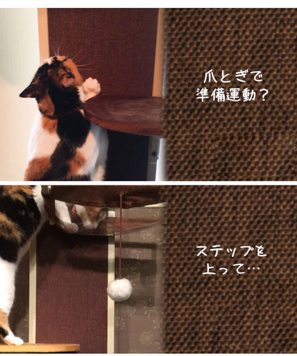 ボンビアルコン キャットウォークモダン 爪とぎ キャットタワー 猫タワー キャットツリー 猫ツリー 突っ張り 突っ張り式 ハンモック付 スリム 省スペース インテリア ボンビ