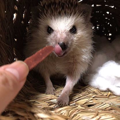 【12個セット】 ミニアニマン 小動物のやみつきコオロギ クランベリー入り 25g x12