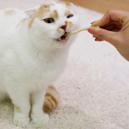 【12個セット】 キャティーマン 猫ちゃんホワイデント かつお入 25g x12