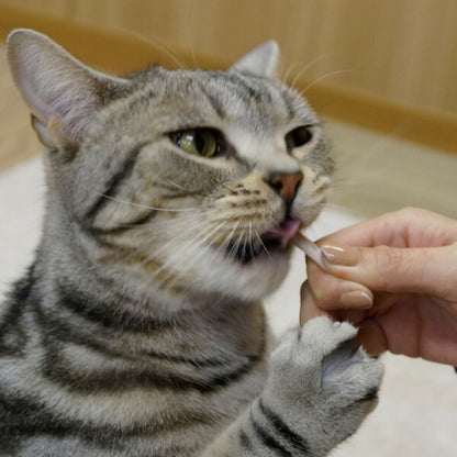 【8個セット】 キャティーマン 猫ちゃんホワイデント ストロング ツナ味 25g x8