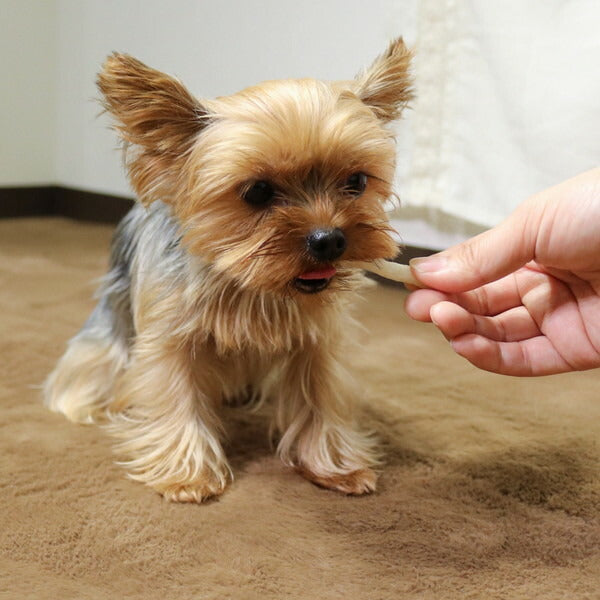 【3個セット】 ドギーマン ホワイデント低脂肪 チューイングスティック 超小型犬用 ミルク味 140g x3