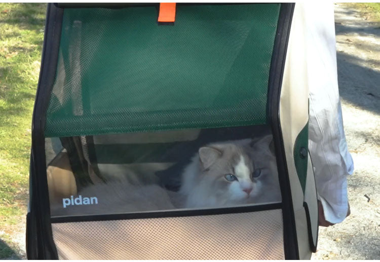 PIDAN ペット用 折り畳み式 ハウス型トラベルリュック 犬用 猫用 キャリーバッグ 拡張 広げられる ハウス 折りたたみ キャリー バック おしゃれ 避難 防災 避難所 旅行 お出かけ ピダン