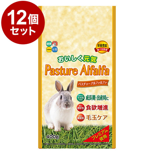 【12個セット】 ハイペット パスチャーアルファルファ 400g x12 4.8kg 4800g 牧草 チモシー 餌 エサ 主食 草食 フード 食事 小動物 ウサギ モルモット うさぎのエサ